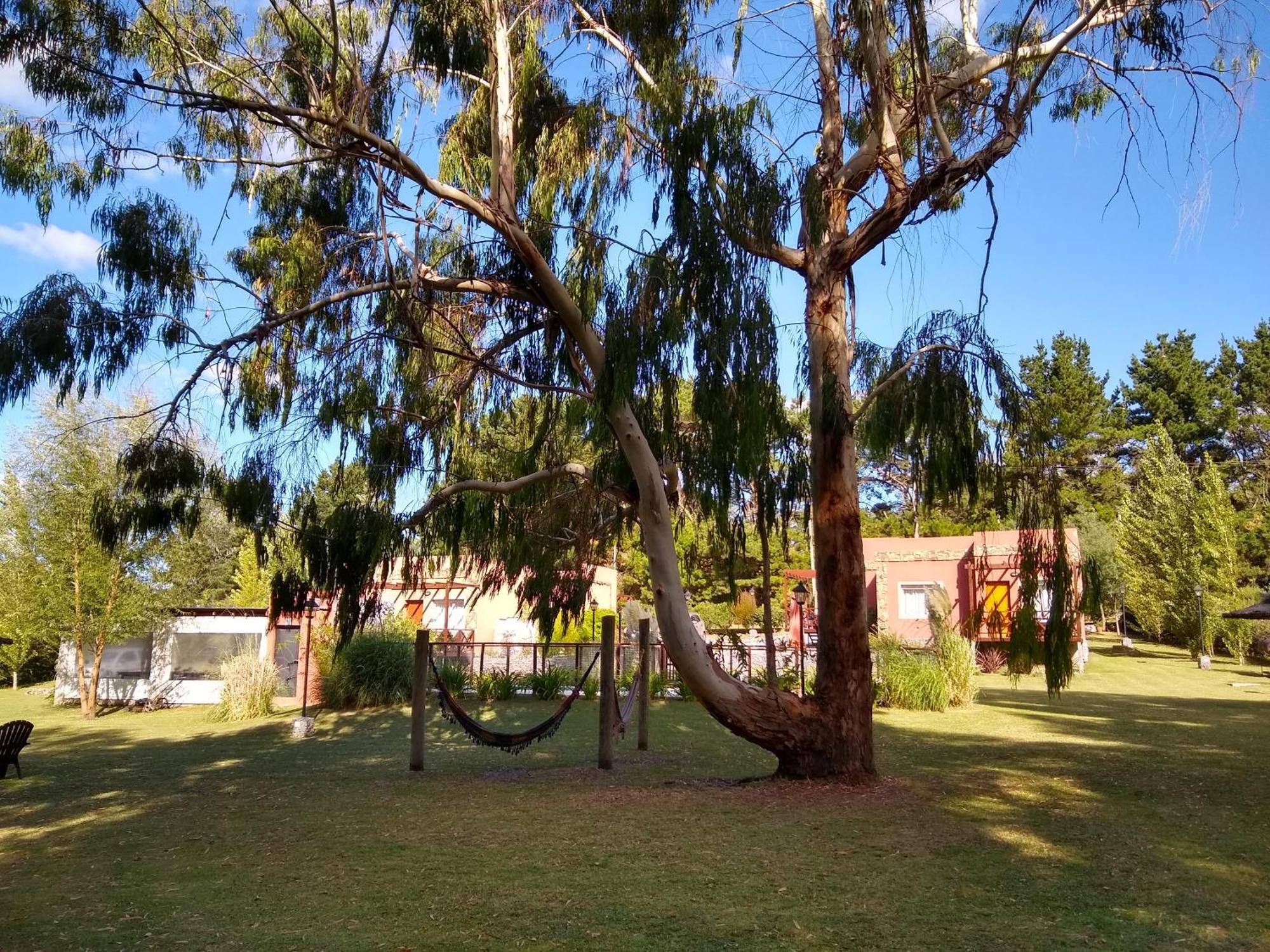 Icalma De La Sierra Aparthotel Tandil Exterior photo